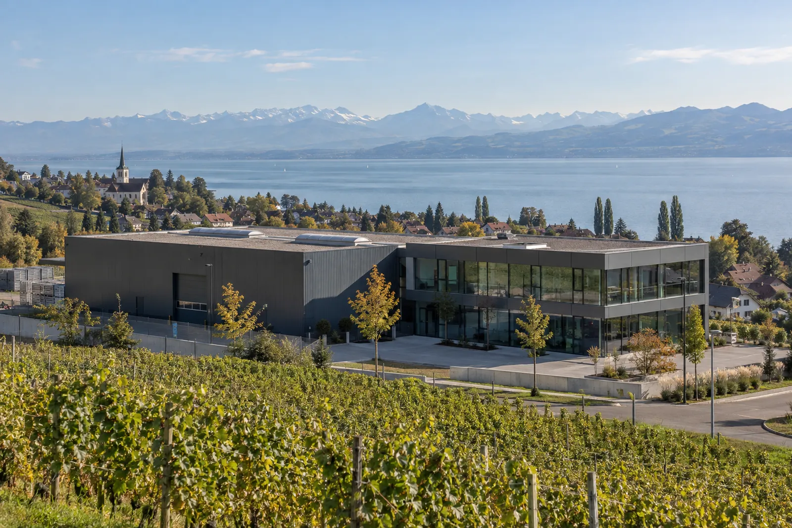 Gewerbebau mit Halle und verglastem Bürotrakt am Bodensee, im Hintergrund Weinberge und See