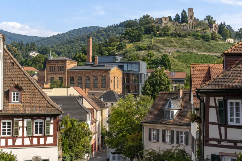 Altstadthäuser und Industriegebäude in Weinheim vor den Weinbergen und der Burg am Odenwaldrand